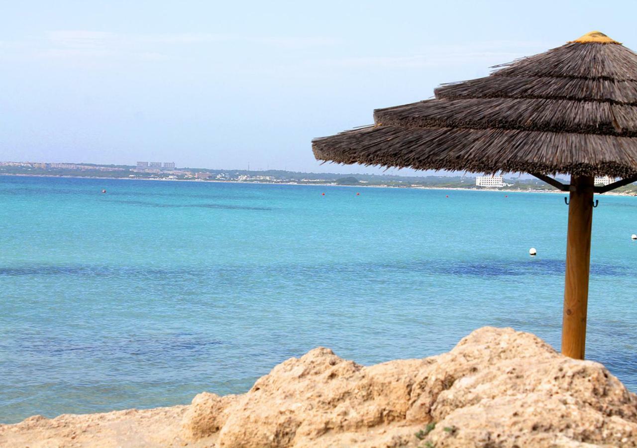 Villa Baia Di גאליפולי מראה חיצוני תמונה